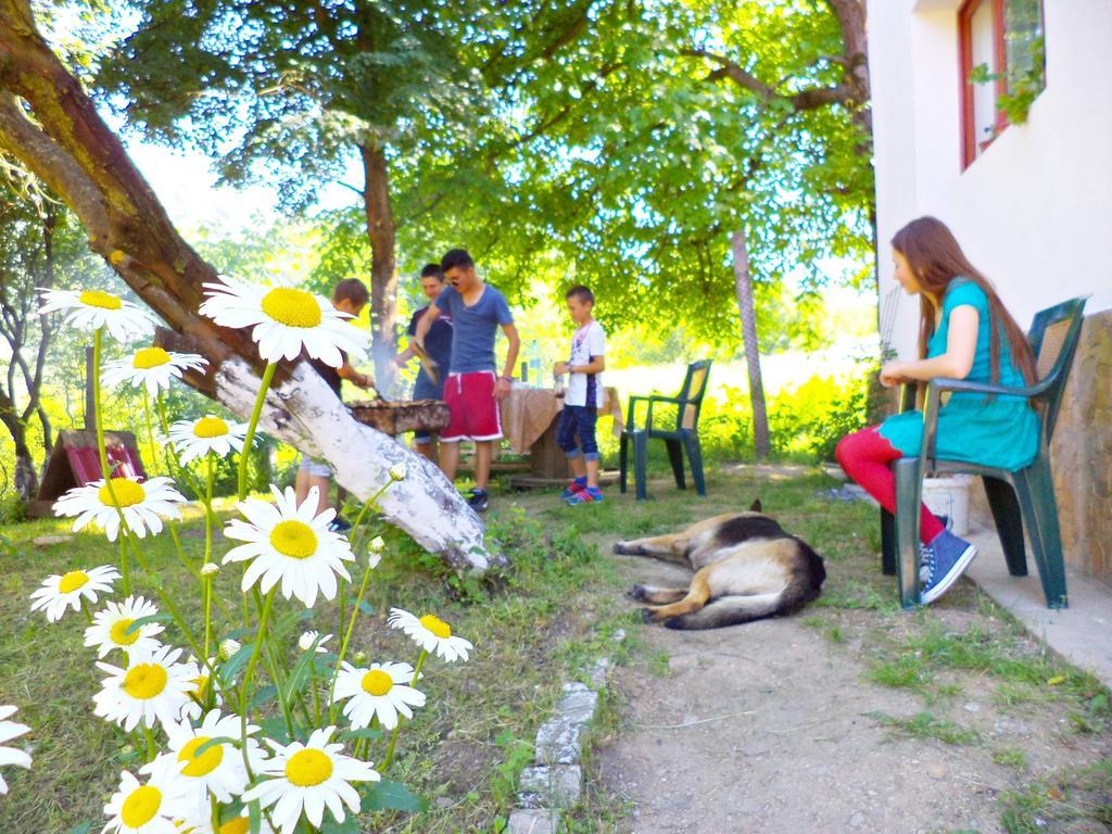 Pensiunea Valea Cernei Teliucu Inferior Exteriör bild