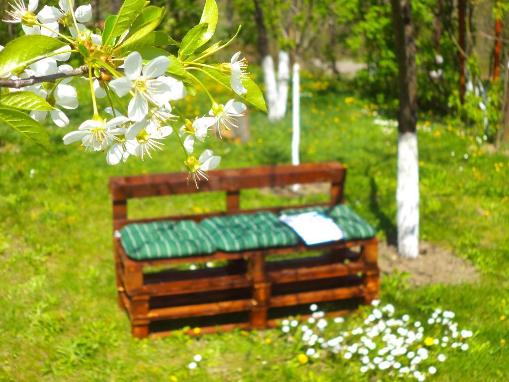 Pensiunea Valea Cernei Teliucu Inferior Exteriör bild